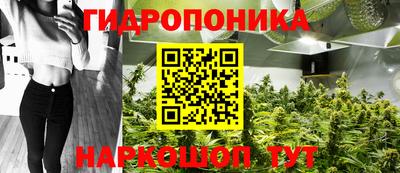 jwh Пенза