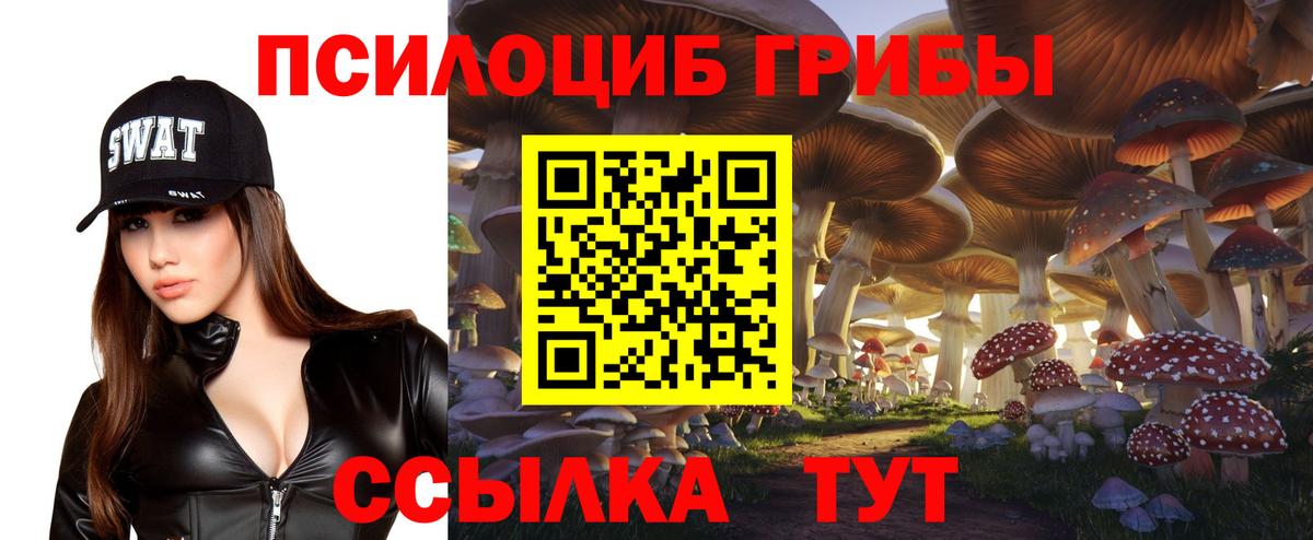 Псилоцибиновые грибы Magic Shrooms Санкт-Петербург